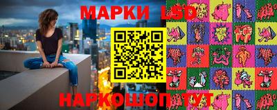 твердый Гатчина