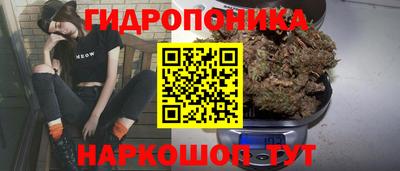 мдпв Гагарин