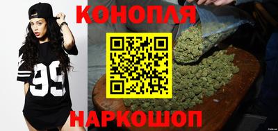 мдпв Гагарин