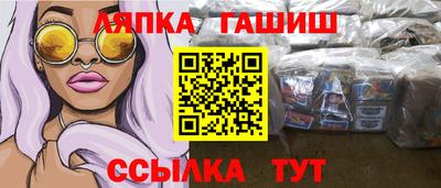 твердый Гатчина