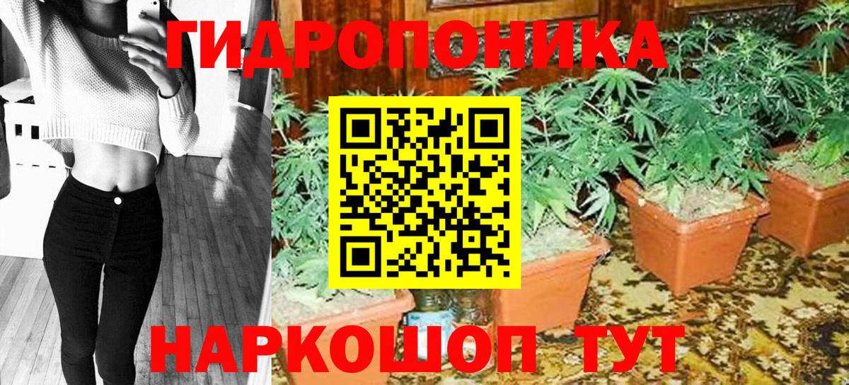 Шишки марихуана THC 21% Иваново